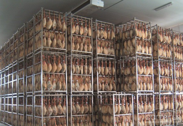 Jamón y Salud S.A 